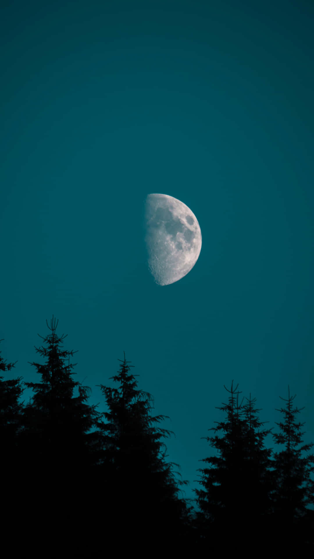 The Moon Silhouette Trees iPhone, crescent moon, deep teal night sky, Full HD Phone Wallpaper