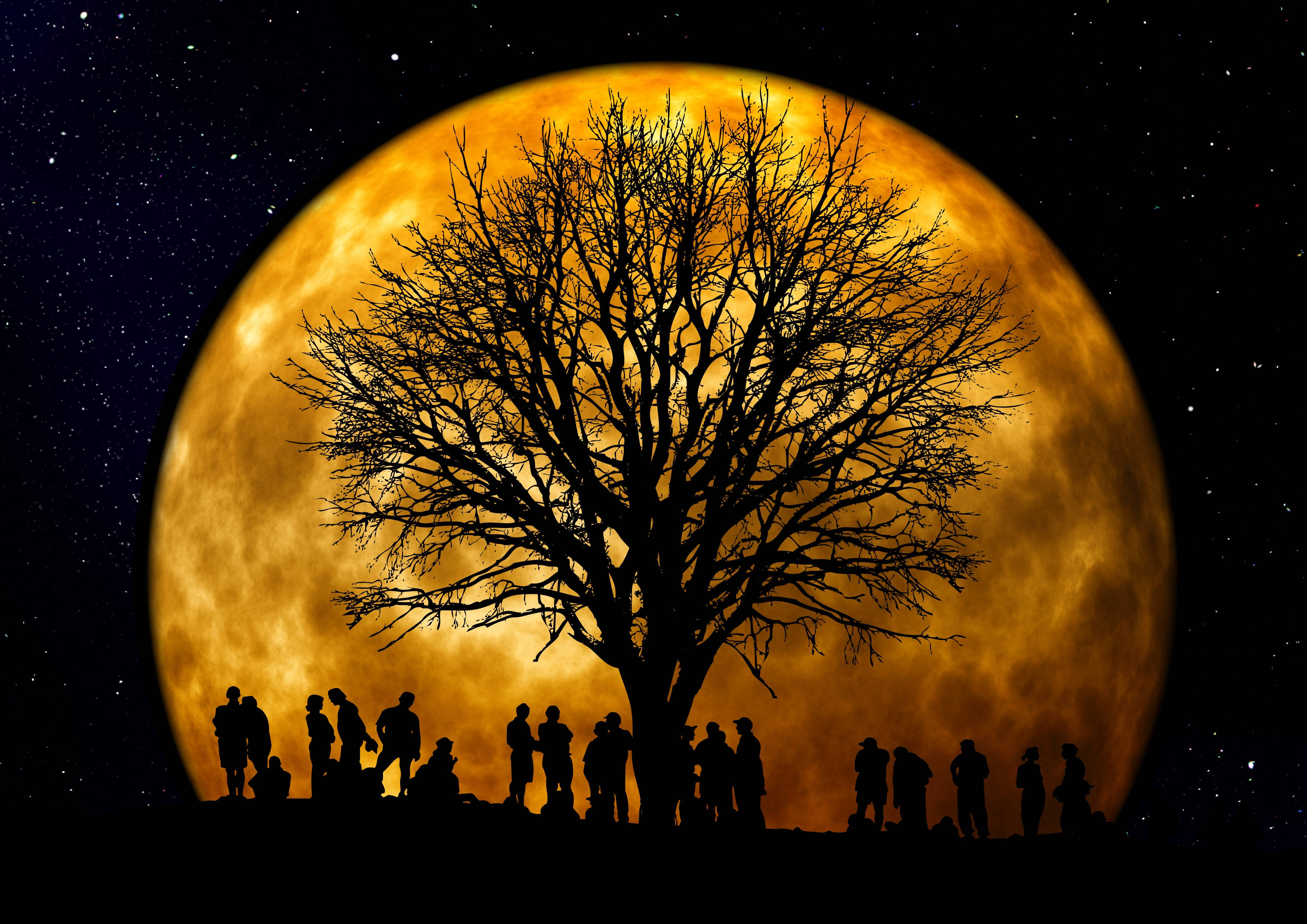 Moon Night Sky, glowing orange moon, starry night sky, 2K Desktop Wallpaper