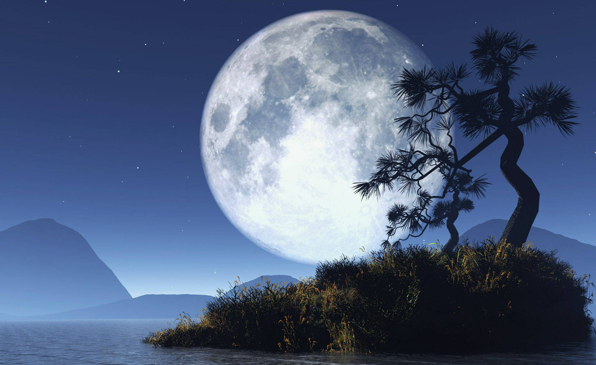 crisp moon night sky, twisted tree, small island, Full HD Desktop Wallpaper