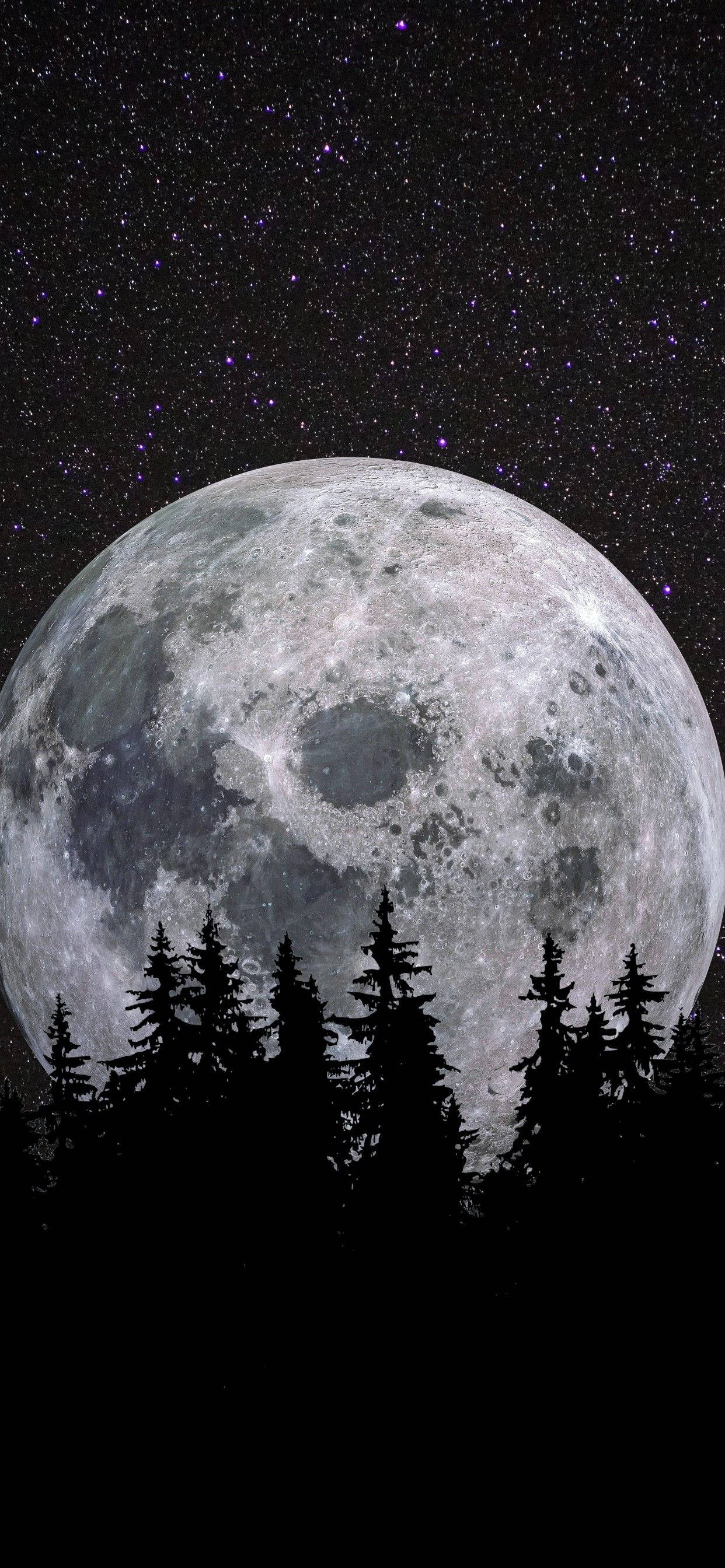 moon, pine trees, starry purple night sky, 2K Phone Wallpaper