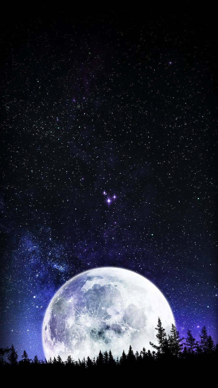 Moon Night, pine forest silhouette, starry purple night sky, HD Phone Wallpaper
