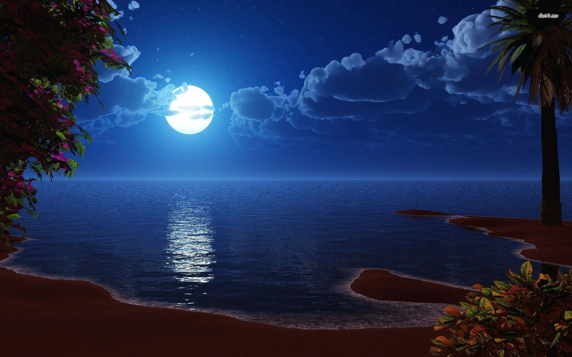 Moon Night, full moon, calm ocean waters, Full HD Desktop Wallpaper