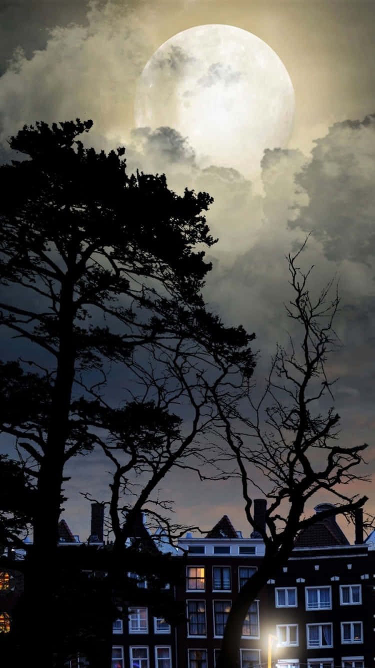 Moon Night, full moon, storm clouds, HD Phone Wallpaper