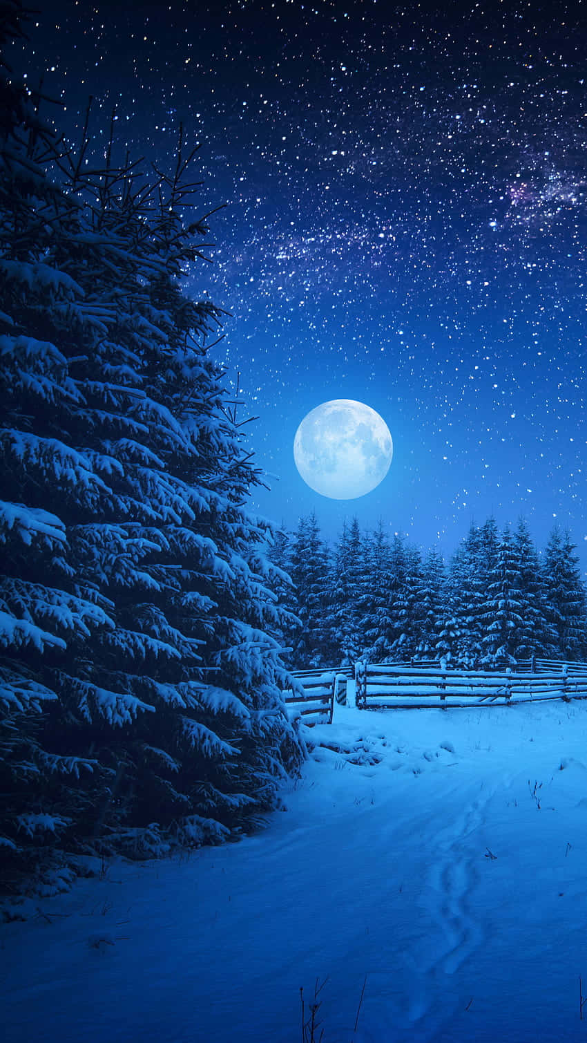 Moon Night, full moon, starry night sky, HD Phone Wallpaper