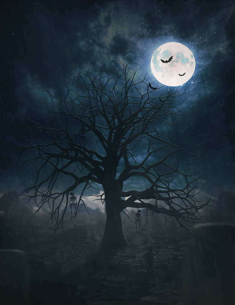 Moon Night, full moon, starry night sky, SD Phone Wallpaper