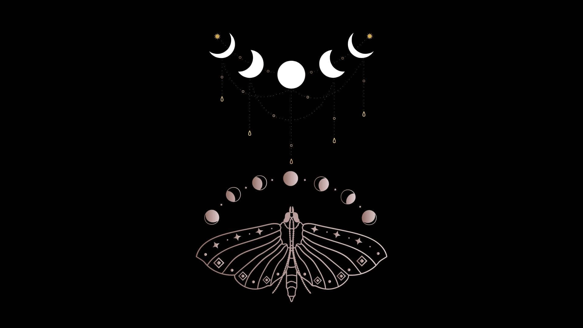Moon Phase, moth, star patterns, Full HD Desktop Wallpaper