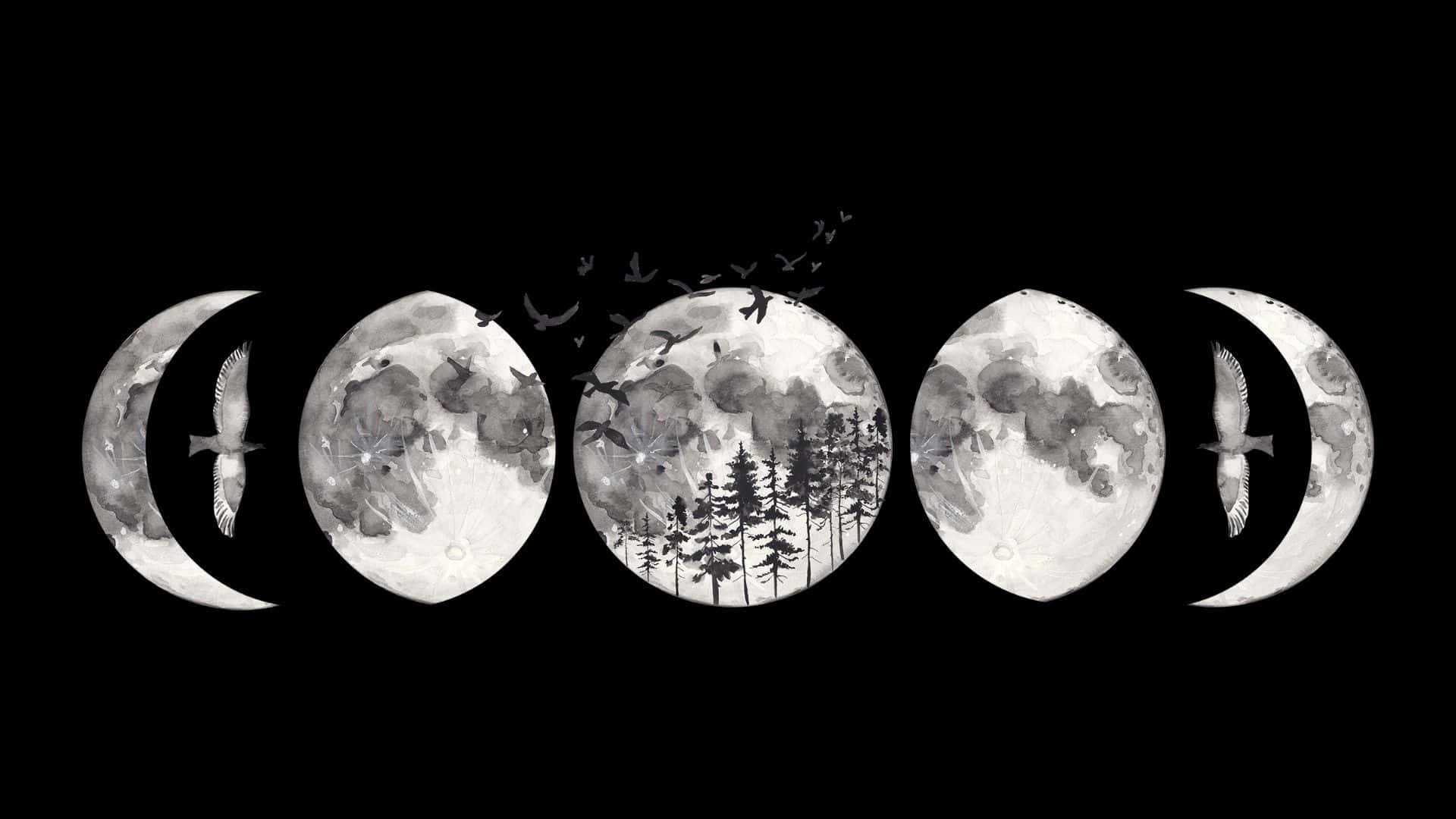 Moon Phase, monochrome watercolor style, birds, Full HD Desktop Wallpaper
