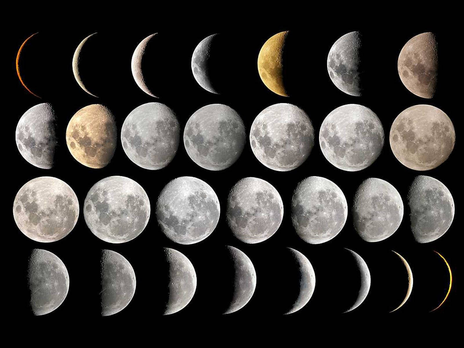 28 moon phases, crescent to full moon, black background, HD Desktop Wallpaper
