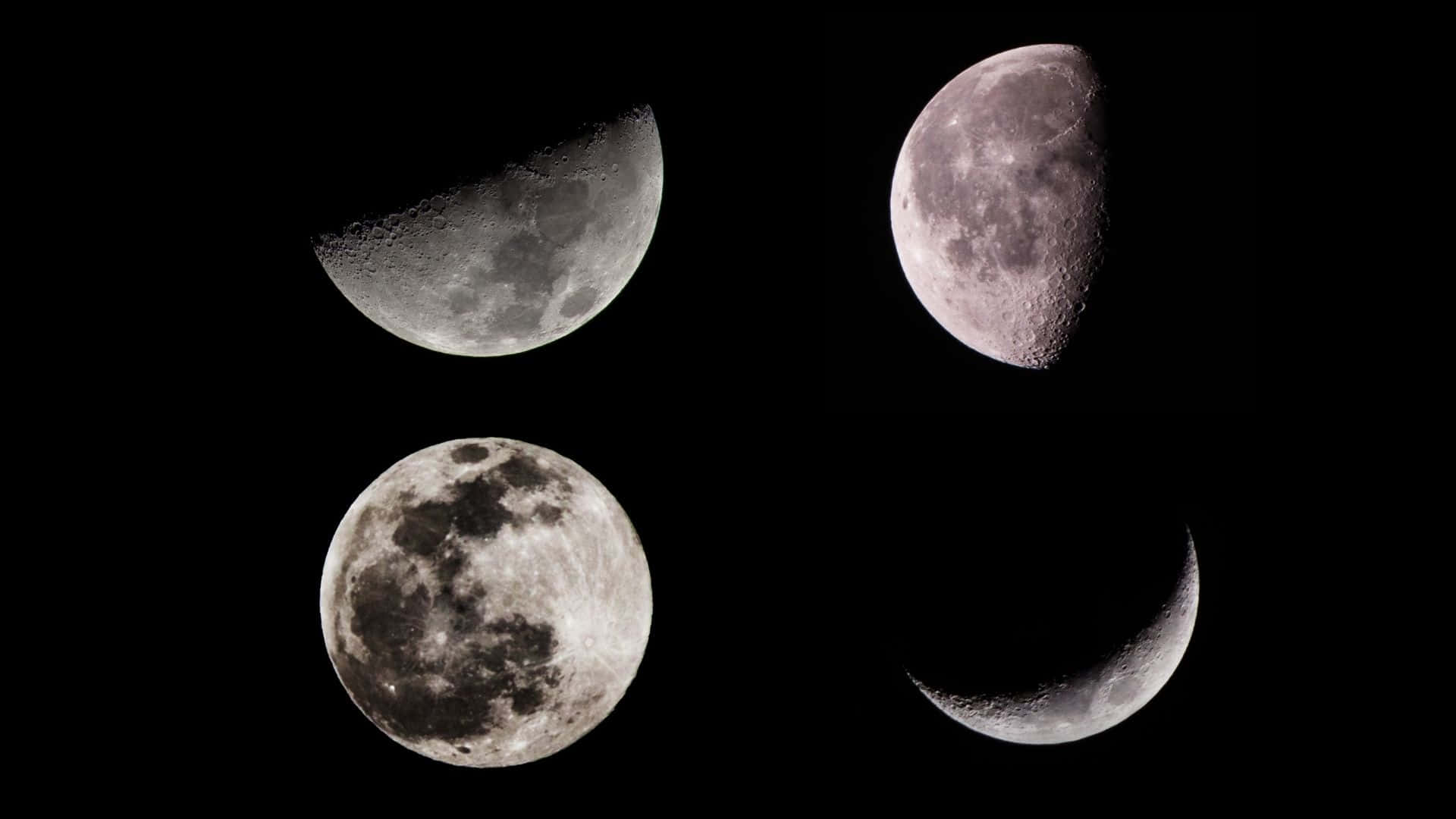 Moon Phase, lunar phases, craters, Full HD Desktop Wallpaper