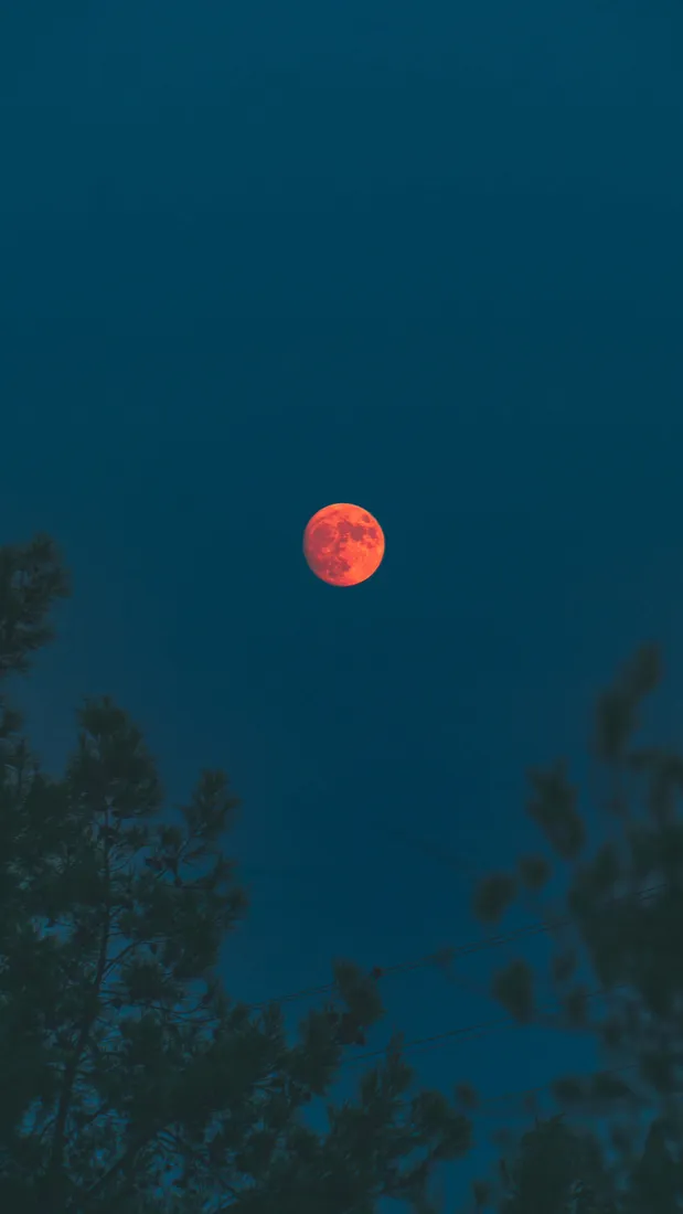 Moon Phone