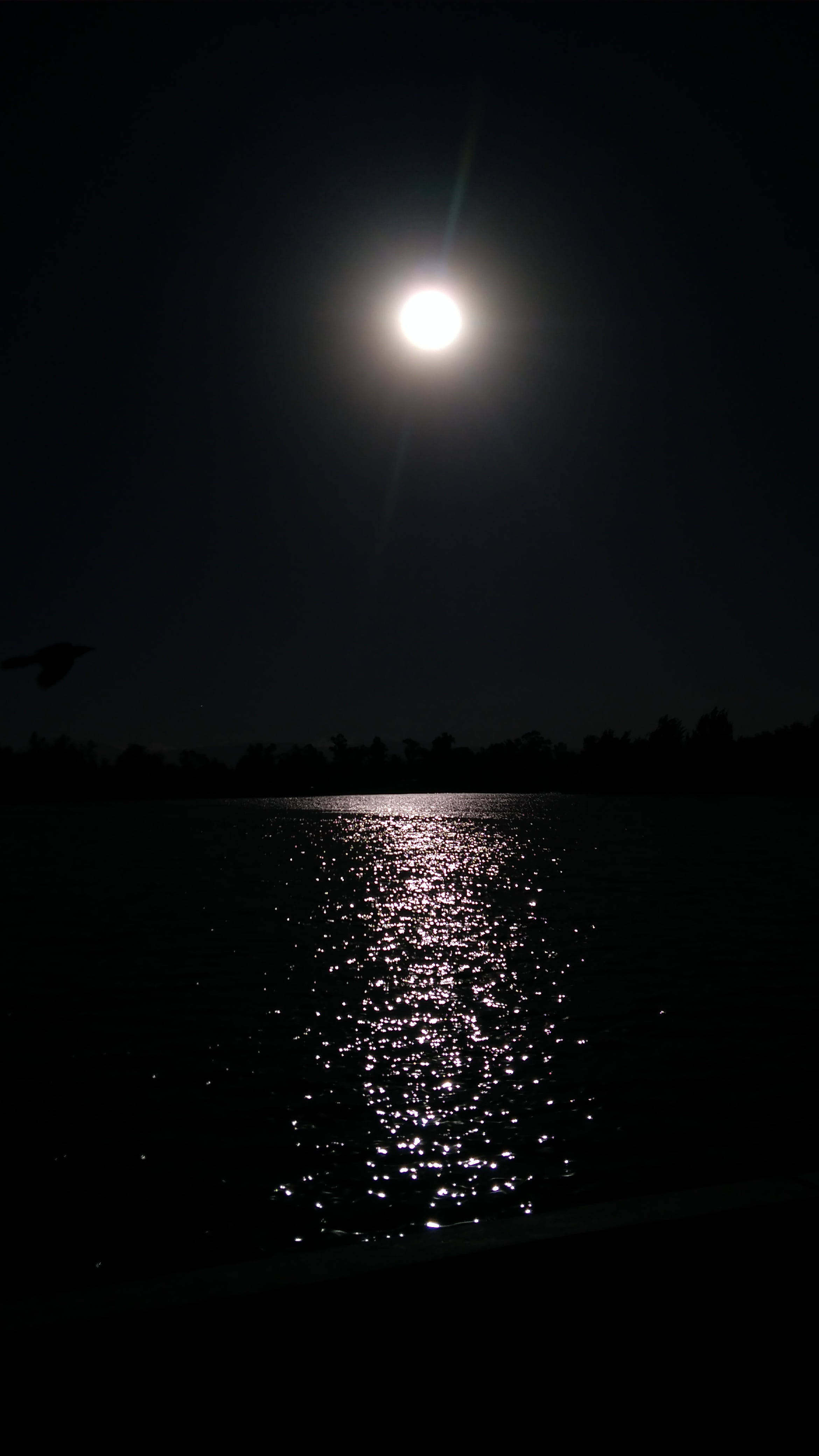 Moon Phone, full moon, dark lake, 4K Phone Wallpaper