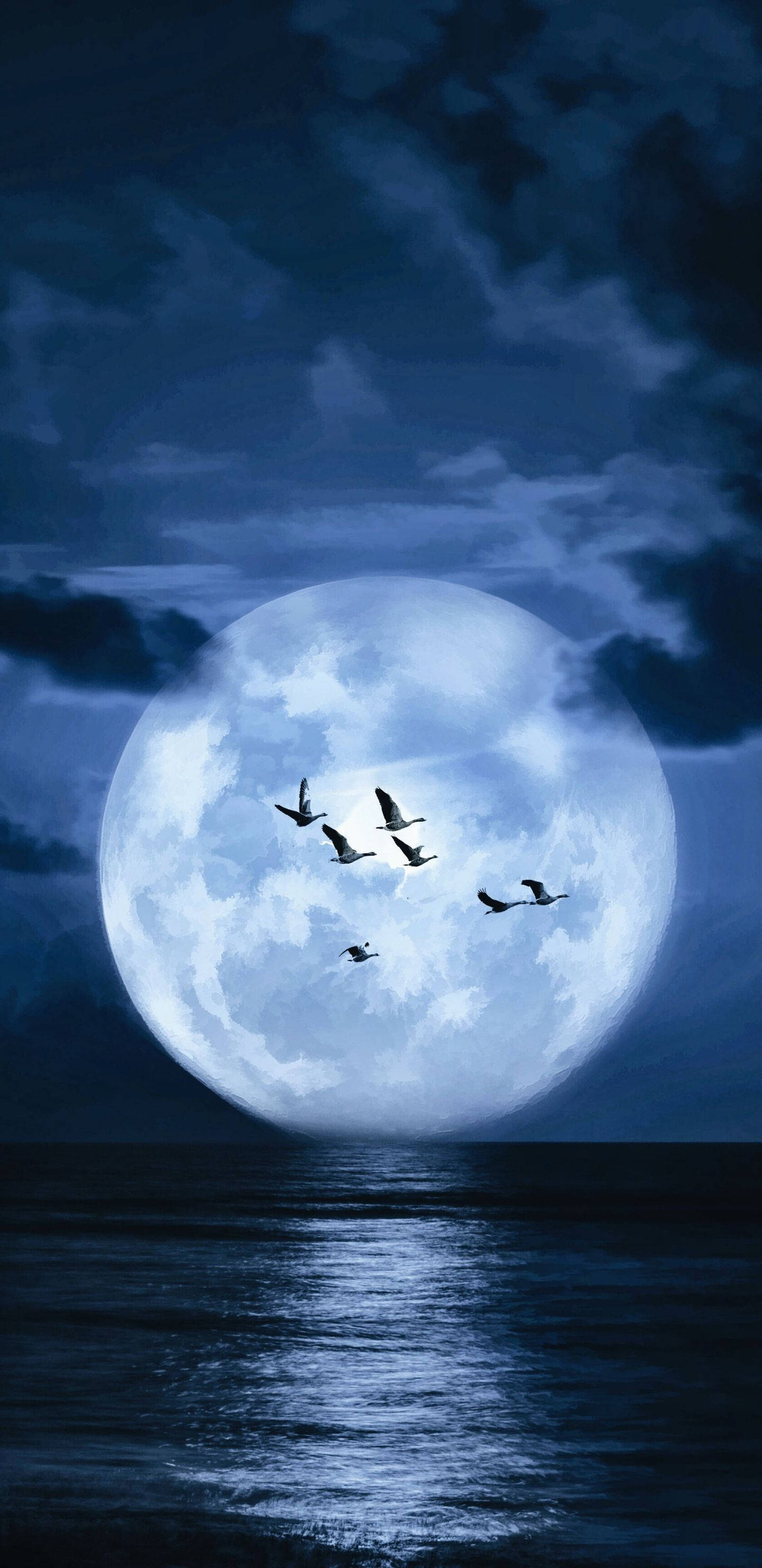 Moon Phone, birds, sky, 2K Phone Wallpaper