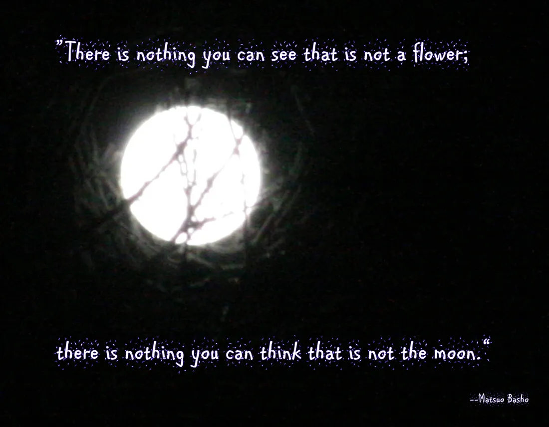 Moon Quotes