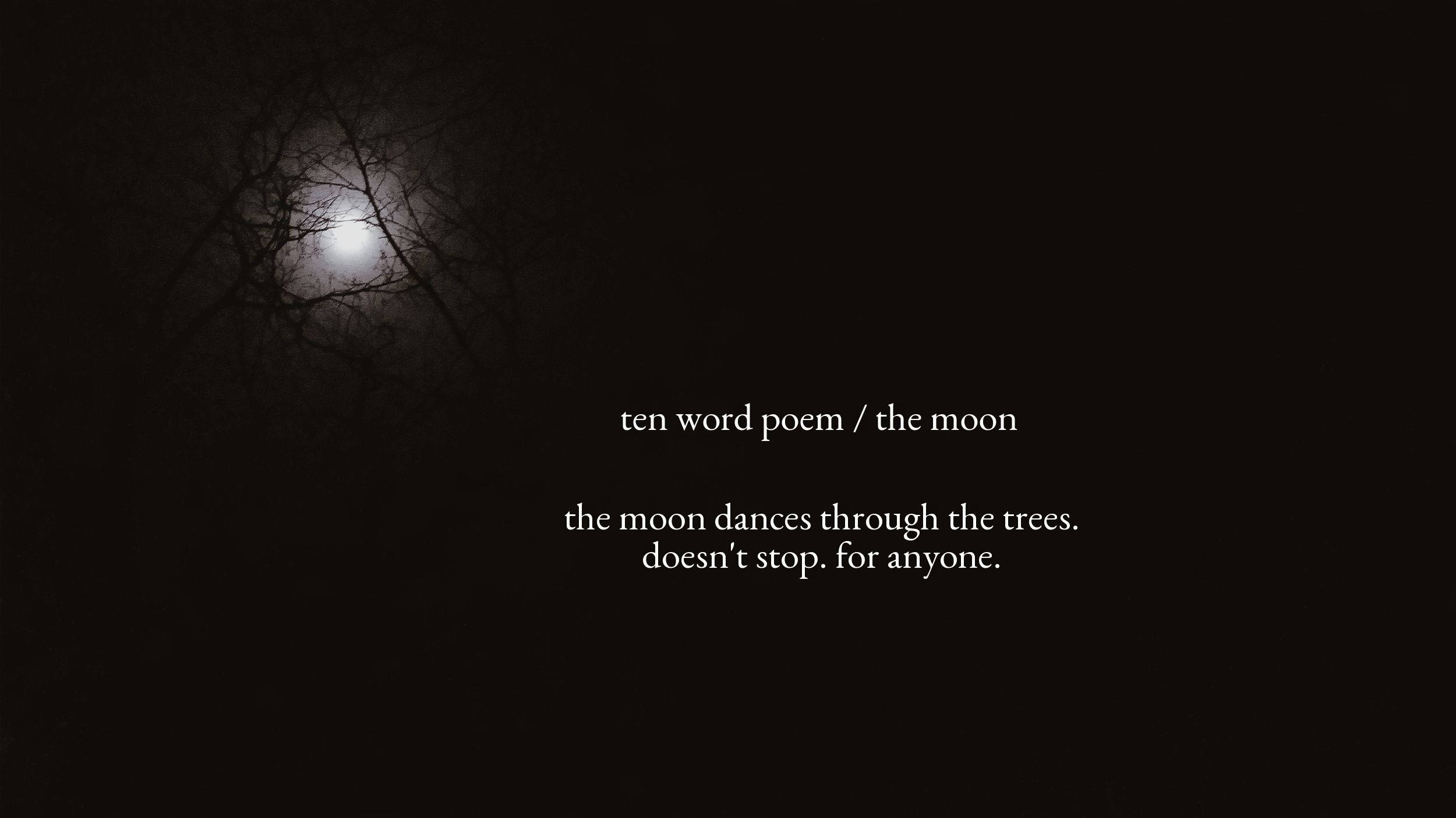 Moon Quotes, bright moon, bare tree branches, Full HD Desktop Wallpaper