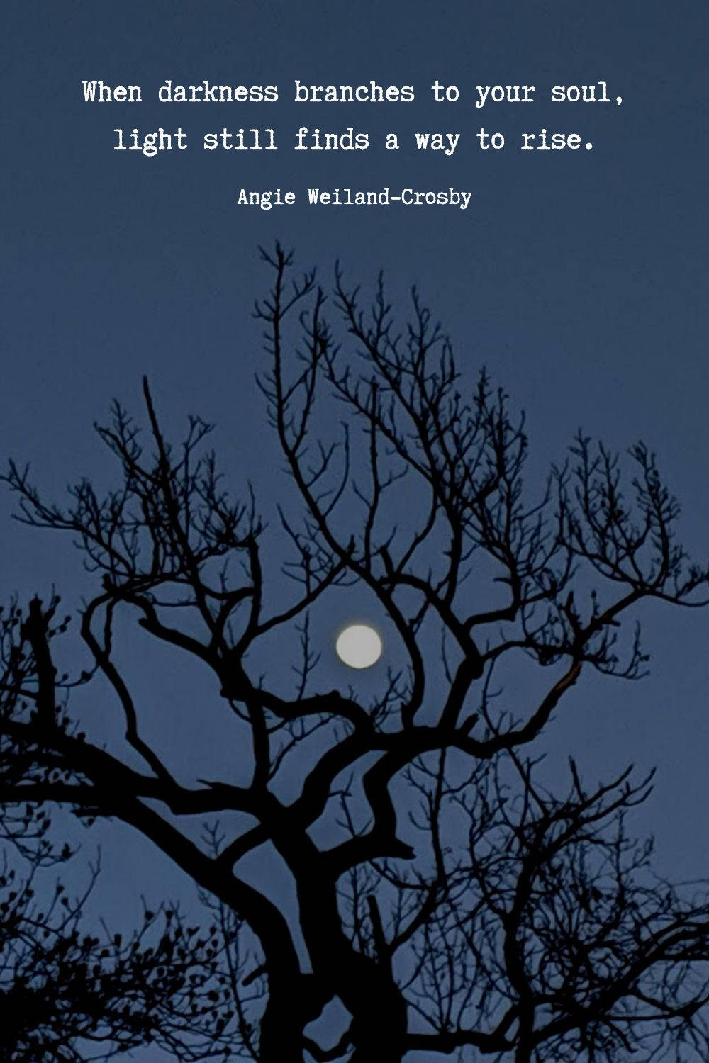 Moon Quotes, bare tree branches, glowing full moon, HD Phone Wallpaper
