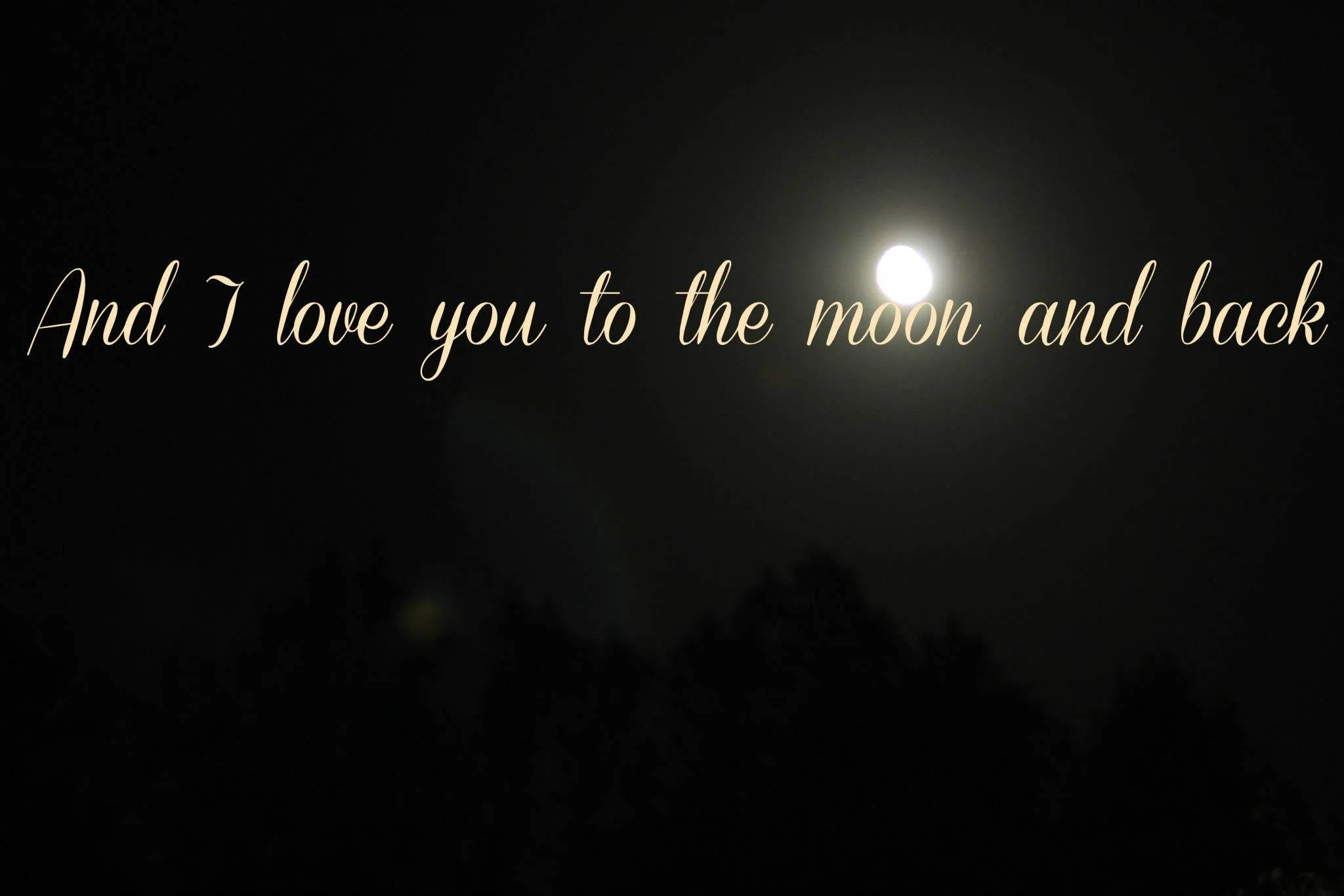 Moon Quotes, full moon, dark silhouetted trees, Full HD Desktop Wallpaper