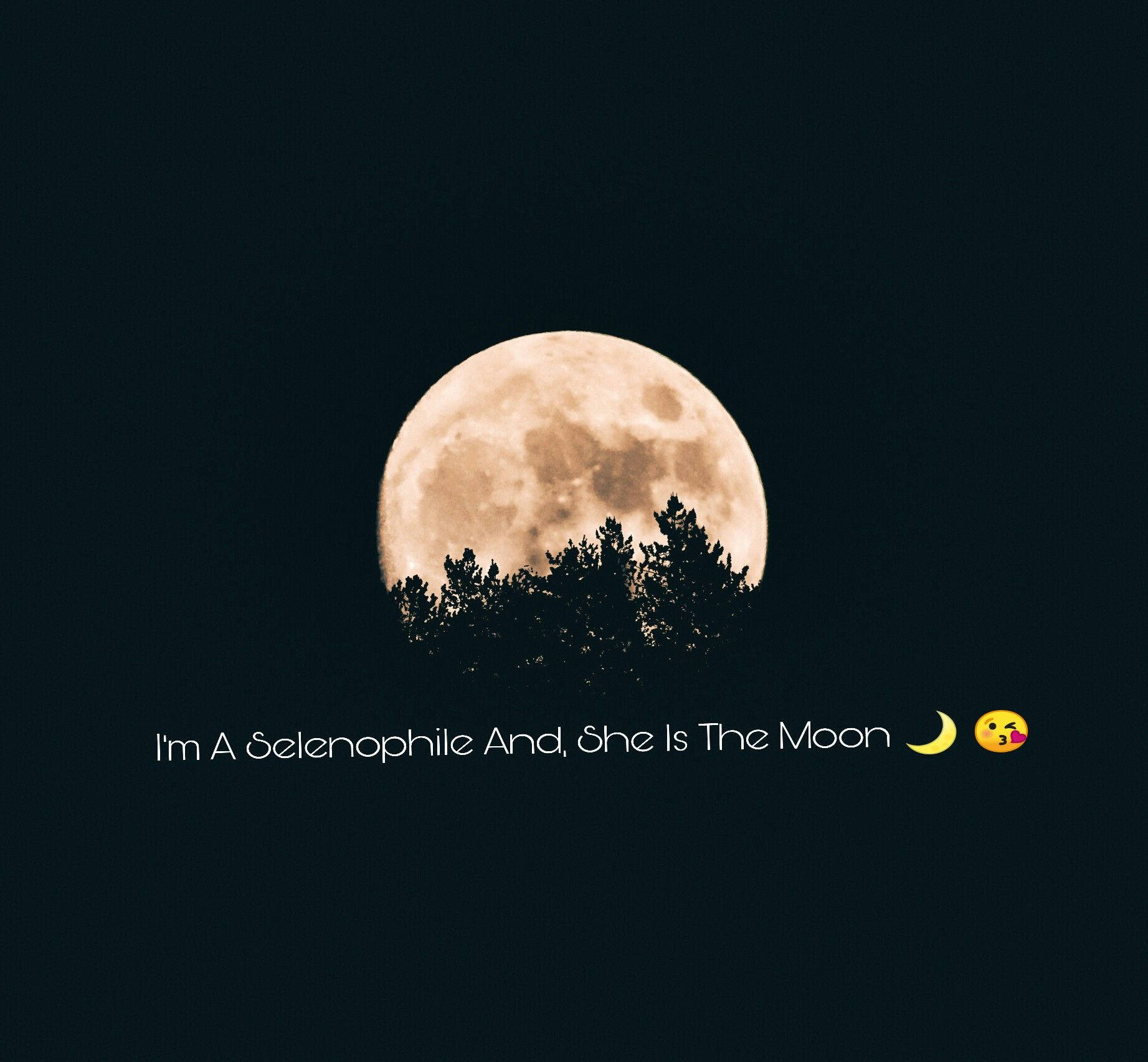 Moon Quotes Emoji, luminous full moon, silhouette of pine trees, HD Desktop Wallpaper