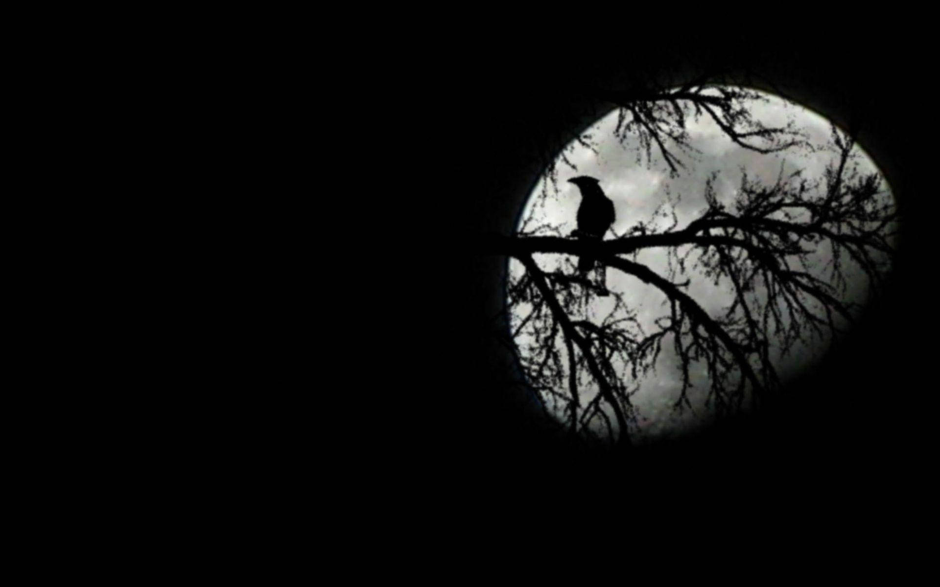 Moon, full moon, dark sky, Full HD Desktop Wallpaper