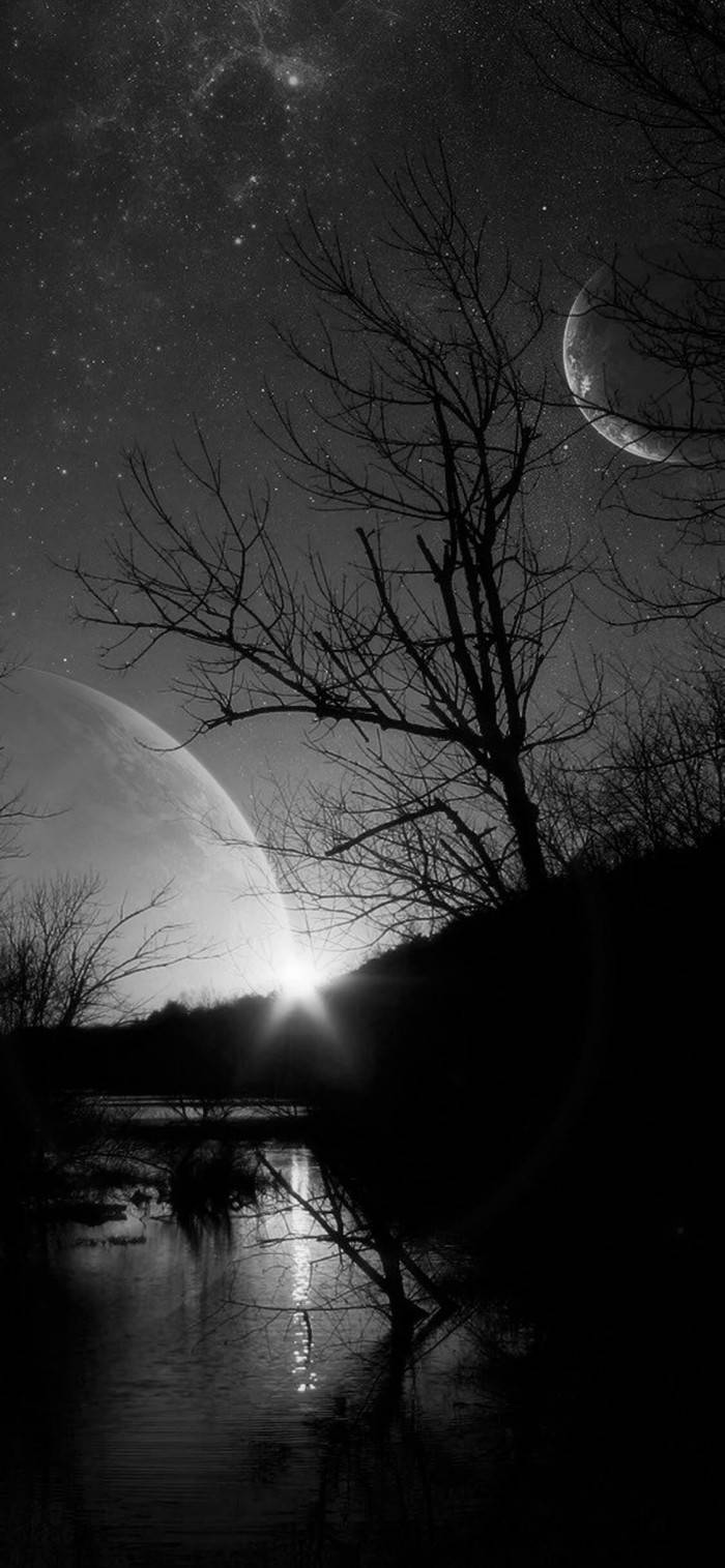 Dead Tree Under The Moon, solid black, two moons, HD Phone Wallpaper