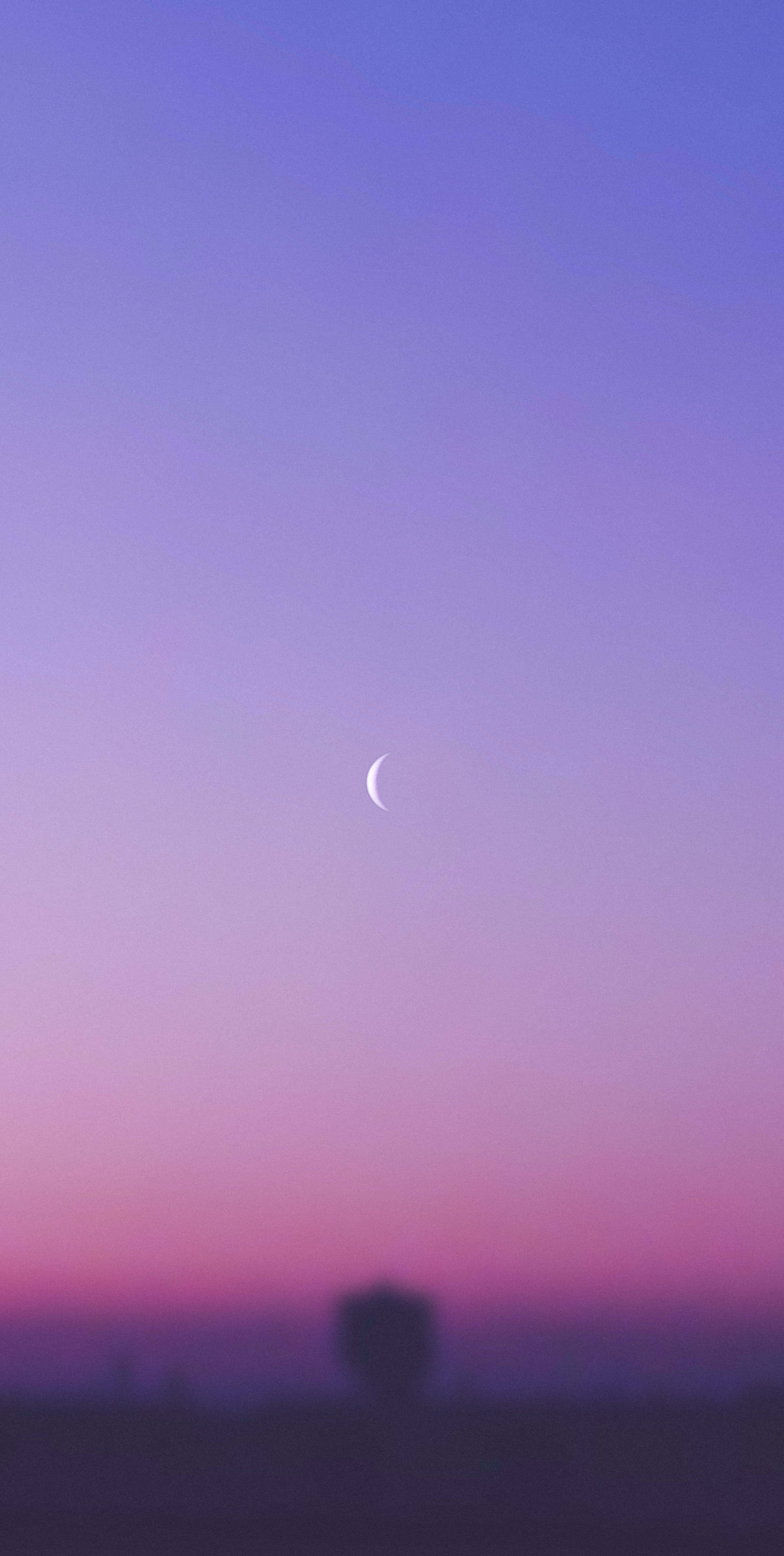 pink moon, crescent moon, twilight sky, 5K Phone Wallpaper