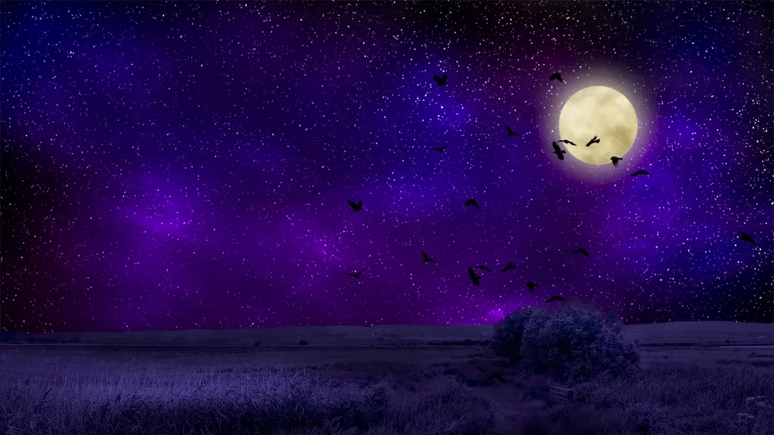 Moondrop