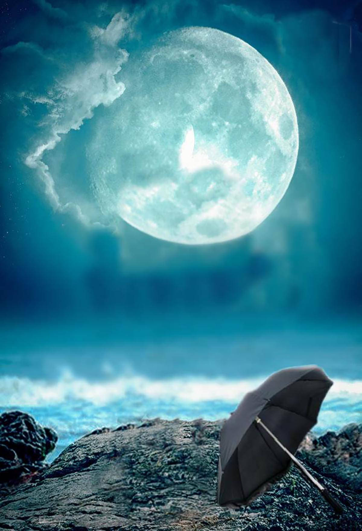 Full Moon Sea, black umbrella, rocky shore, HD Phone Wallpaper