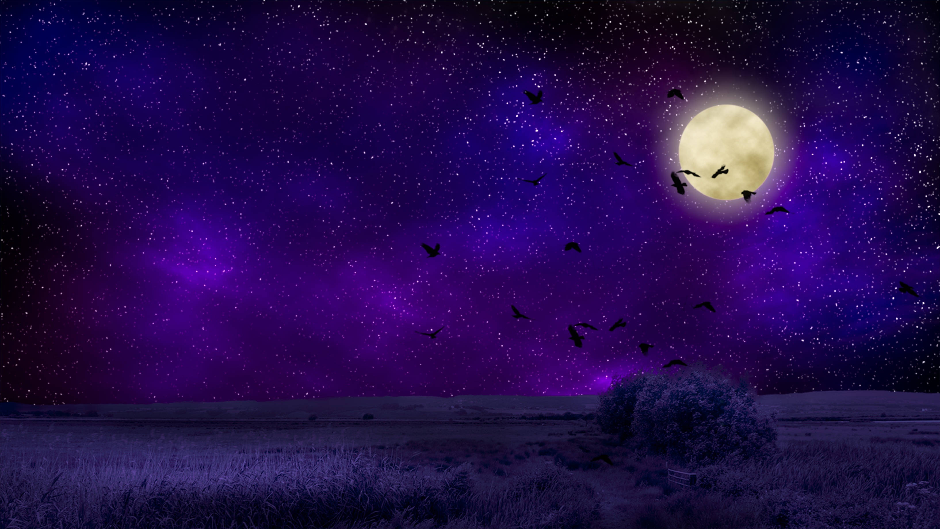 Violet Moon Night Sky, purple night sky, glowing full moon, 2K Desktop Wallpaper