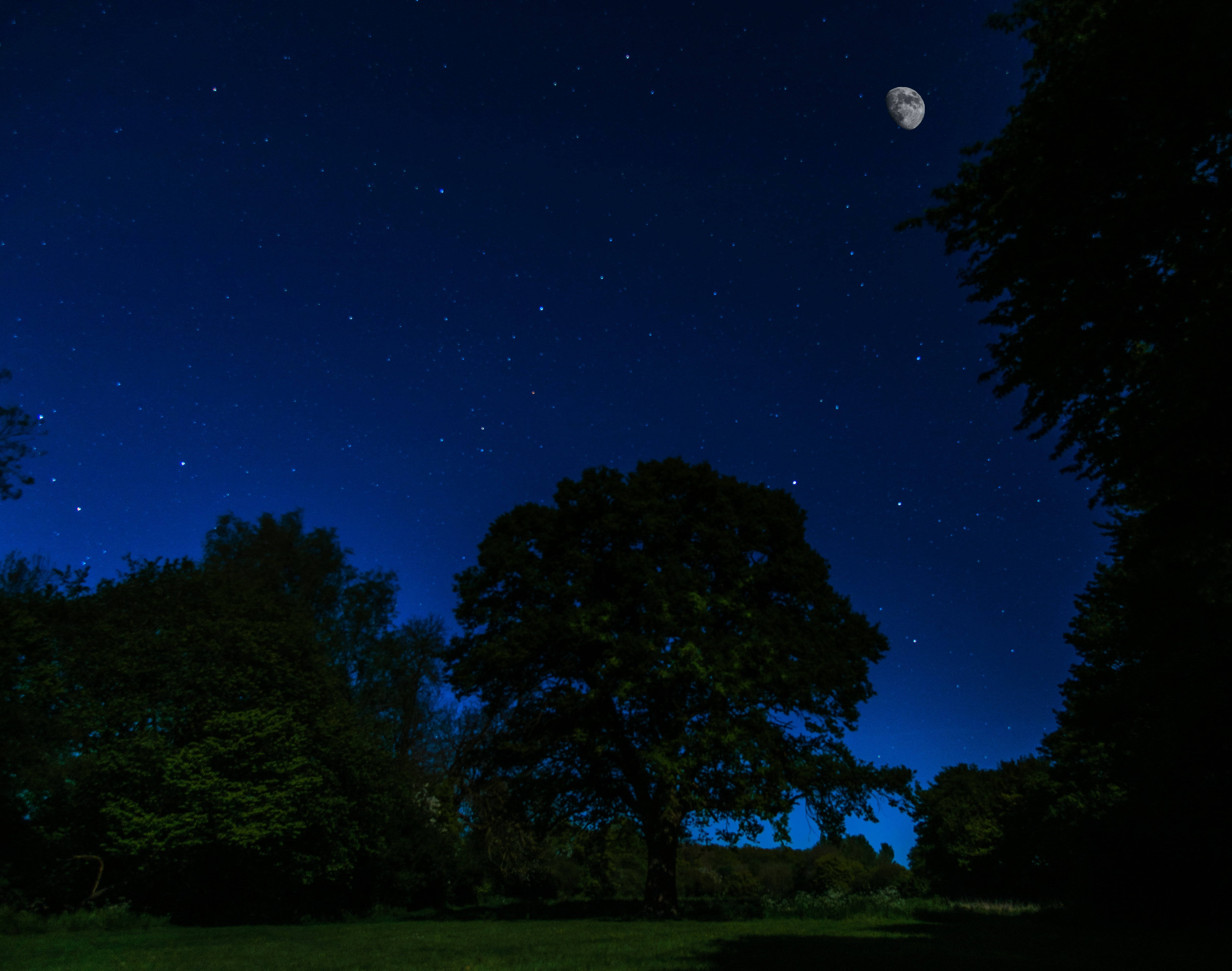 Dark Blue Sky Moonlight 4K, crescent moon, twinkling stars, 4K Desktop Wallpaper