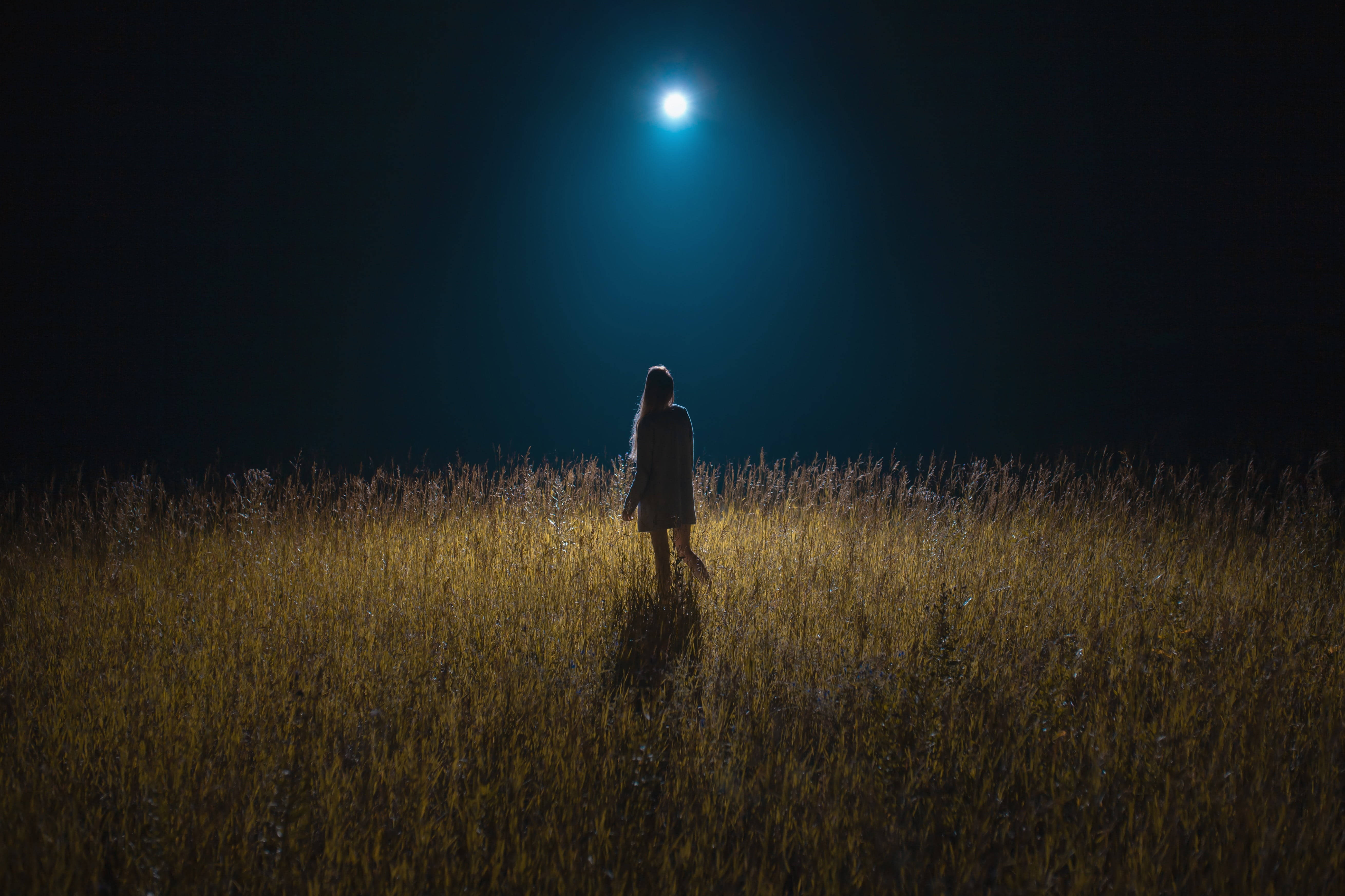 girl, grassy field, moonlight, 5K Desktop Wallpaper