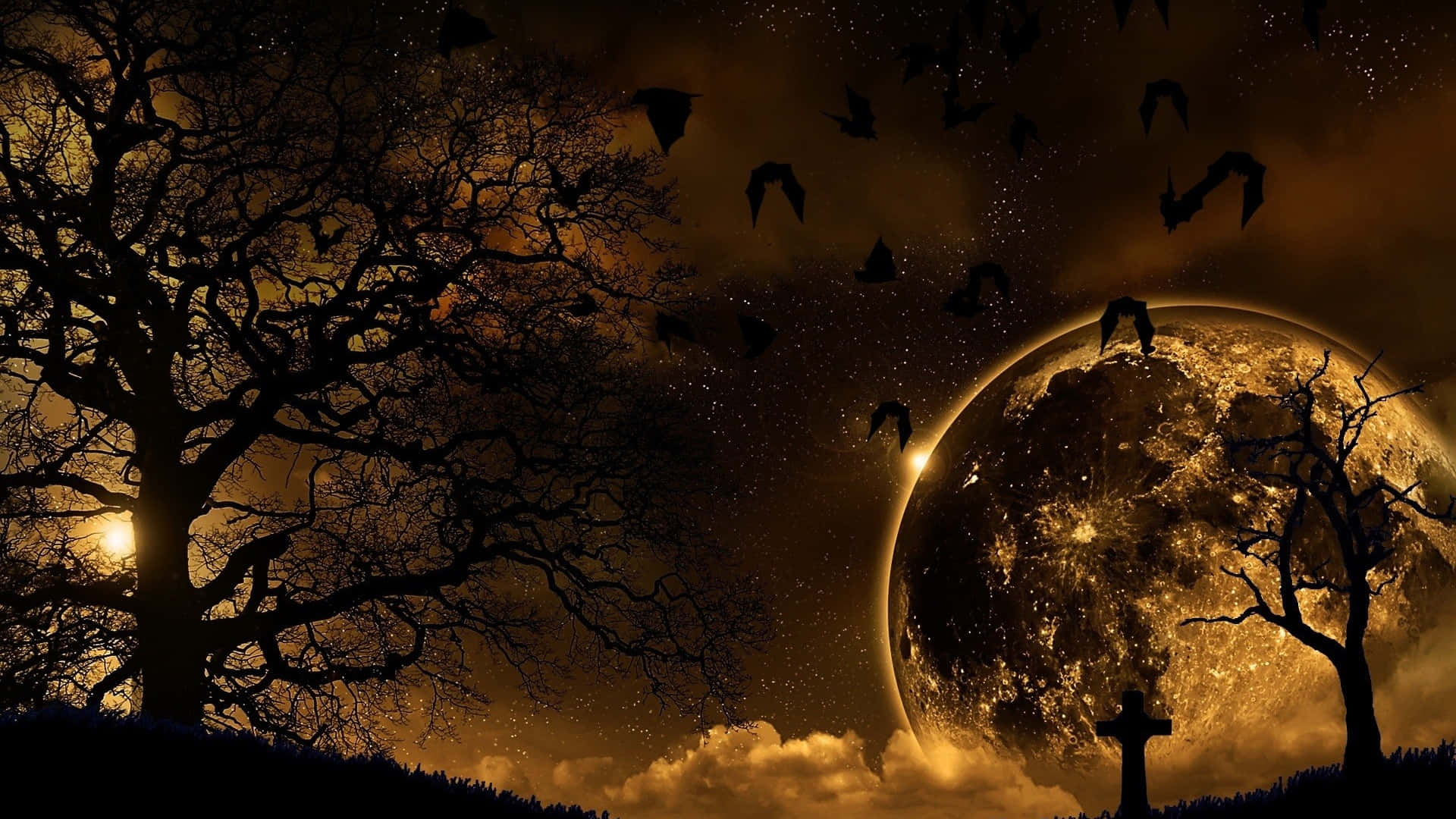 Moonlight, starry amber sky, silhouetted trees, Full HD Desktop Wallpaper