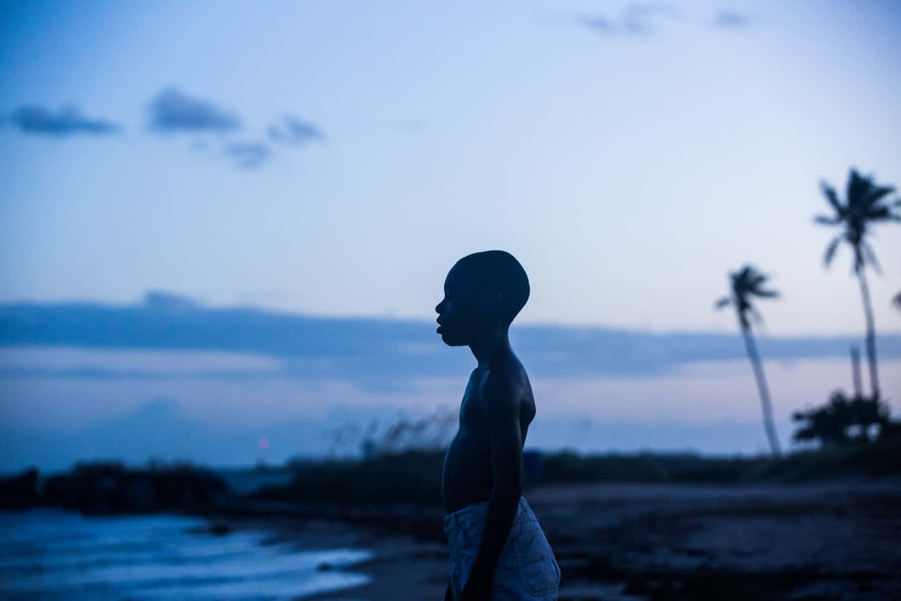 Moonlight Movie, beach, twilight, HD Desktop Wallpaper