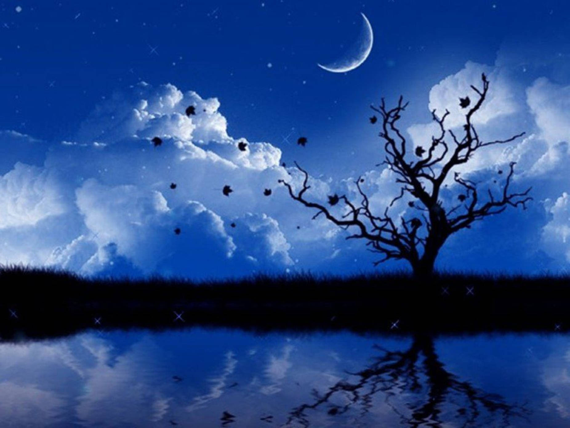 crescent moon, tree silhouette, water, HD Desktop Wallpaper