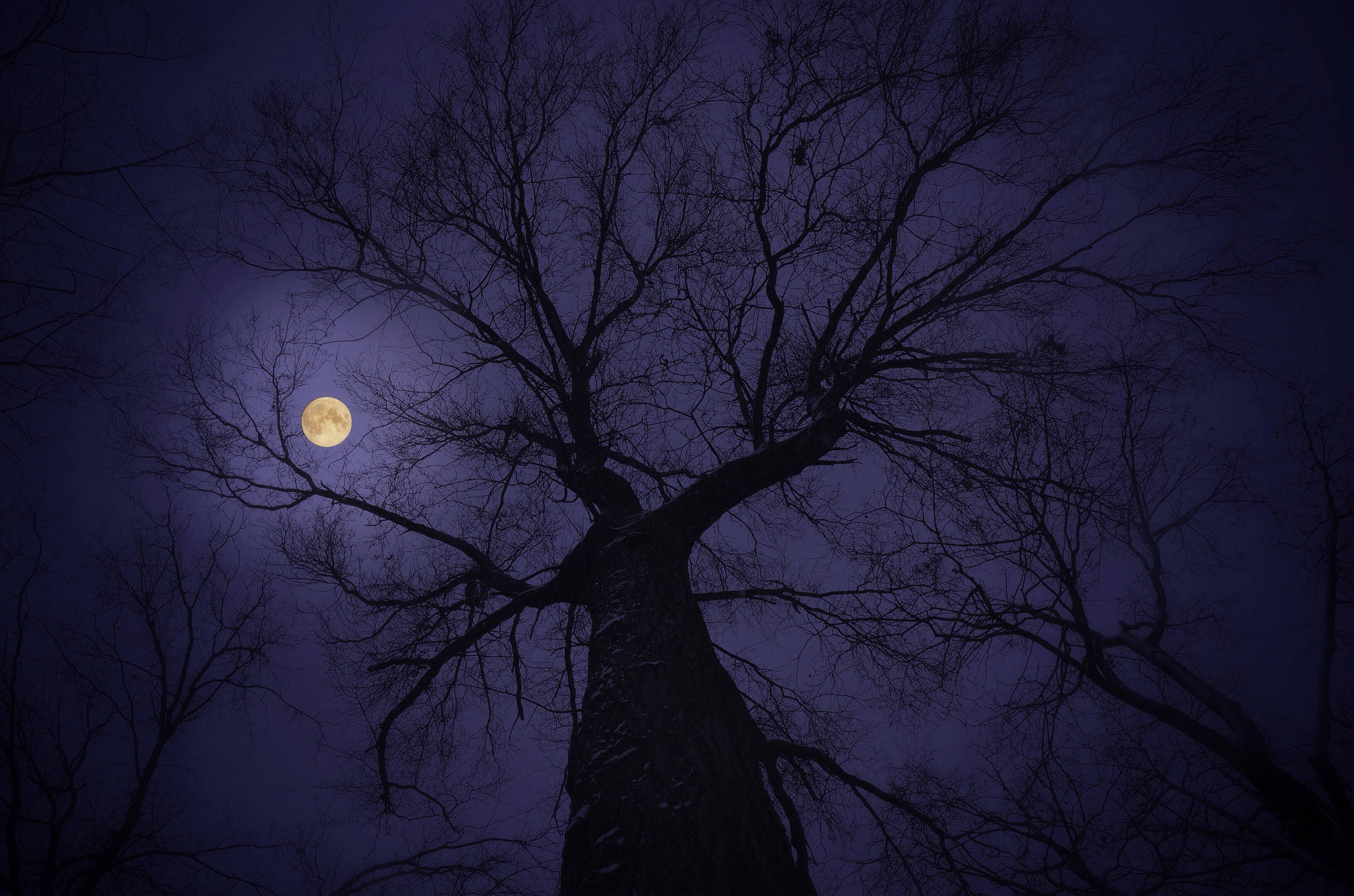 Moonlight, full moon, deep purple night sky, 2K Desktop Wallpaper
