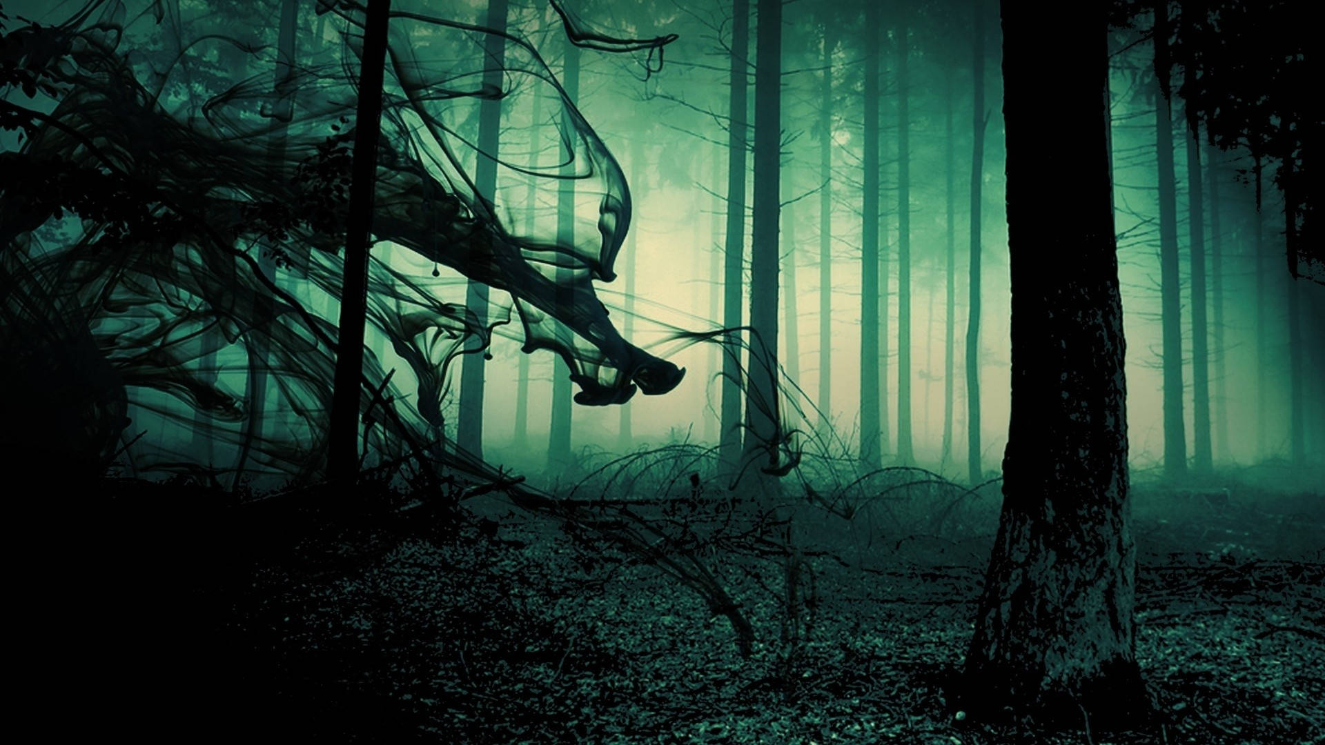 foggy forest, moonlight, eerie teal mist, Full HD Desktop Wallpaper