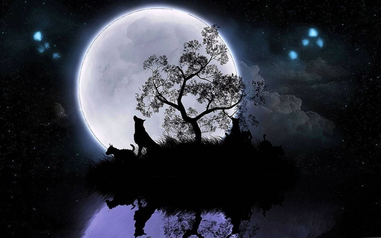 howling wolf, massive glowing moon, calm lake, SD Desktop Wallpaper