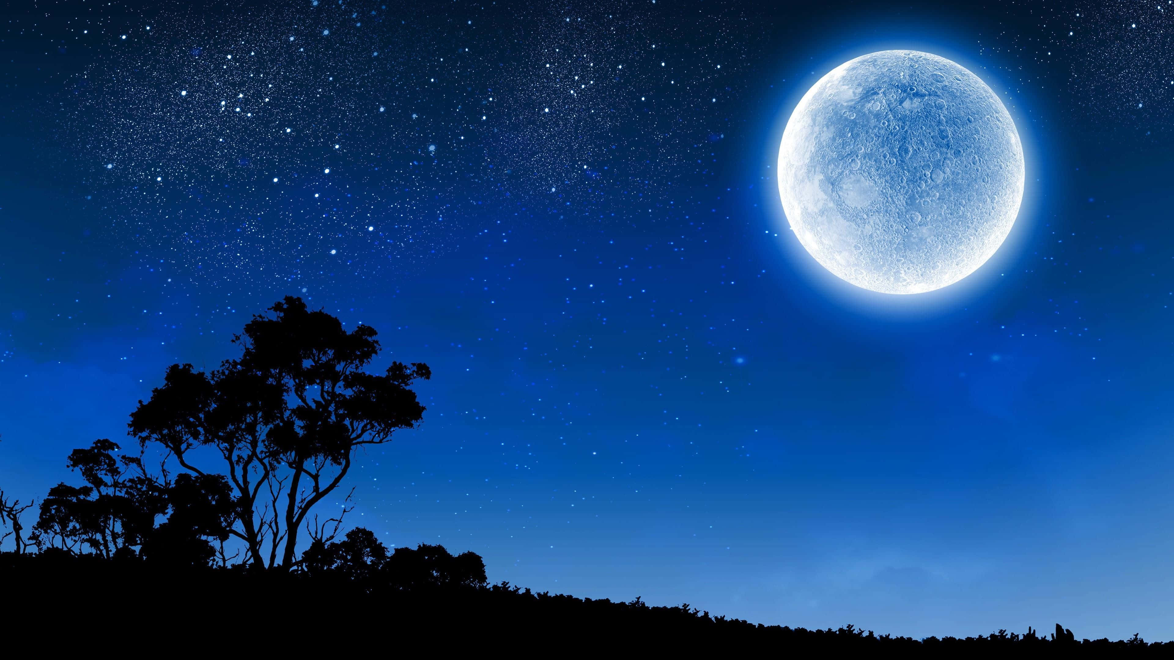 Moonlighter, full moon, starry night sky, 4K Desktop Wallpaper