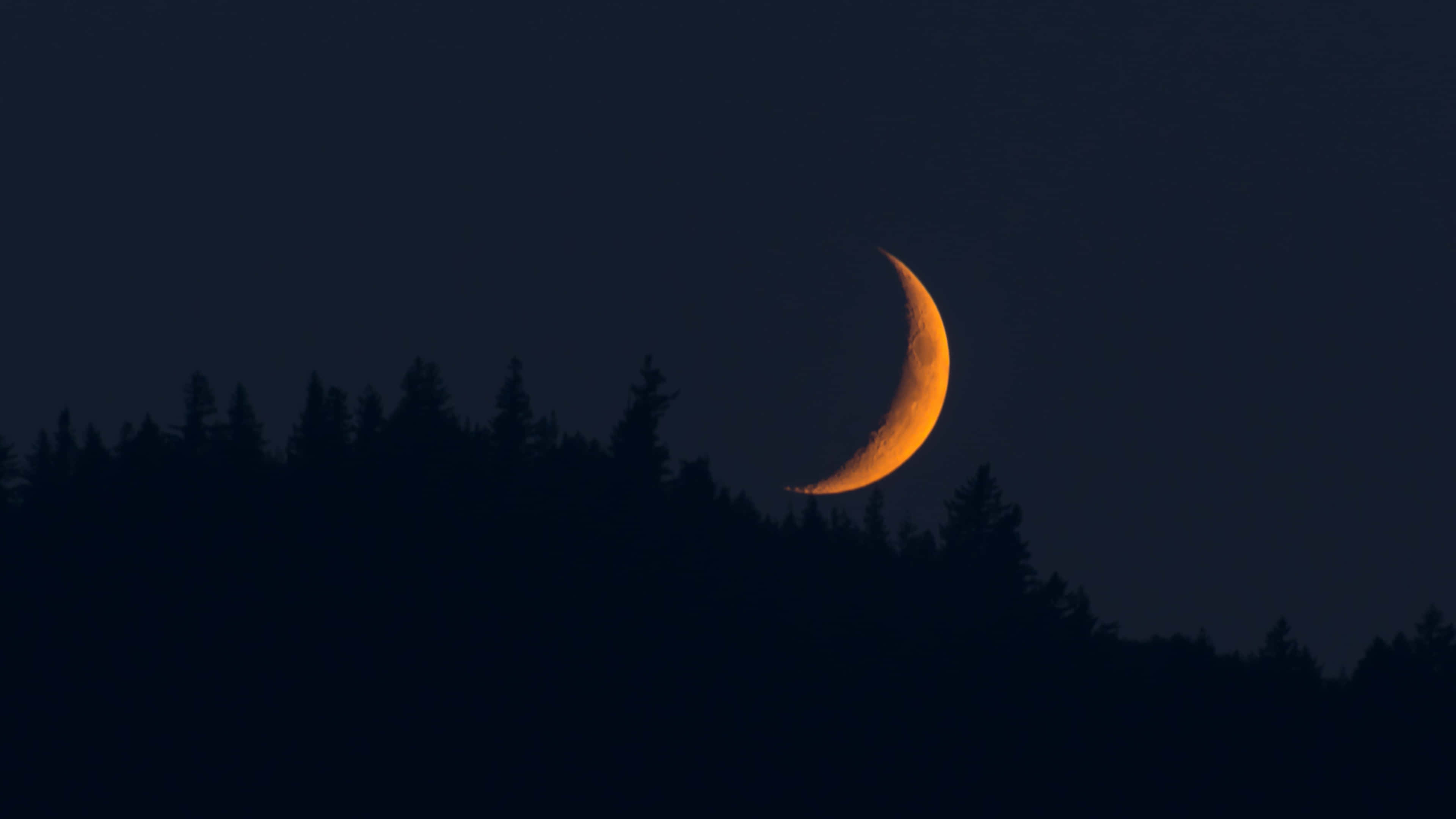 moonset, orange crescent moon, pine trees, 4K Desktop Wallpaper
