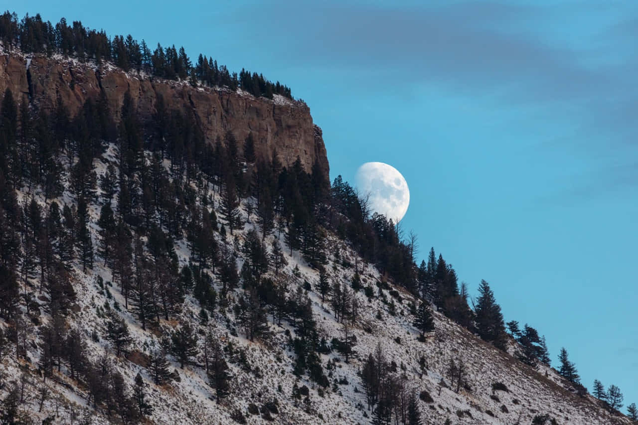 full moon, snow-dusted pine forested cliff, clear blue sky, HD Desktop Wallpaper