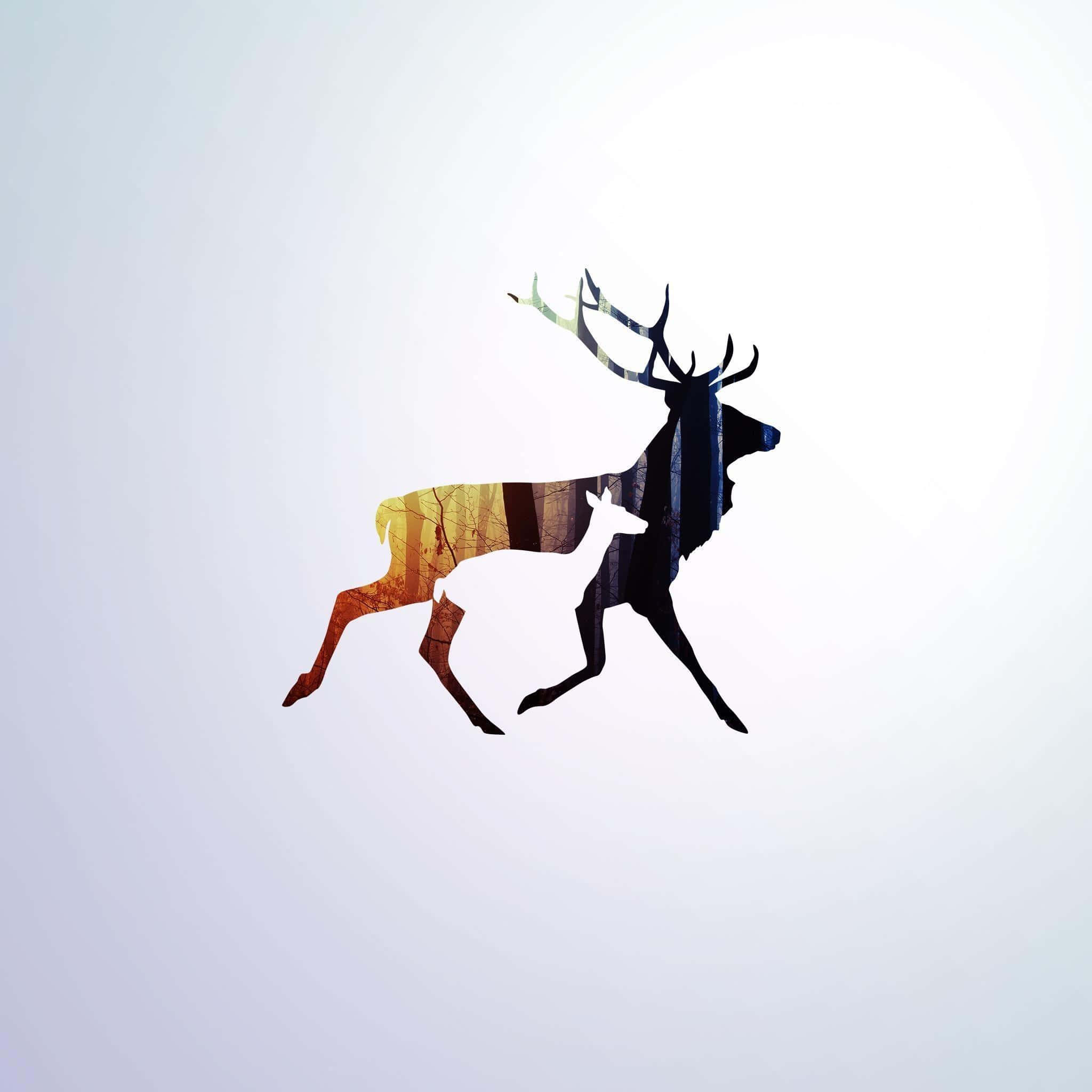 artistic moose silhouette, autumn forest textures, soft gradient background, Full HD Desktop Wallpaper