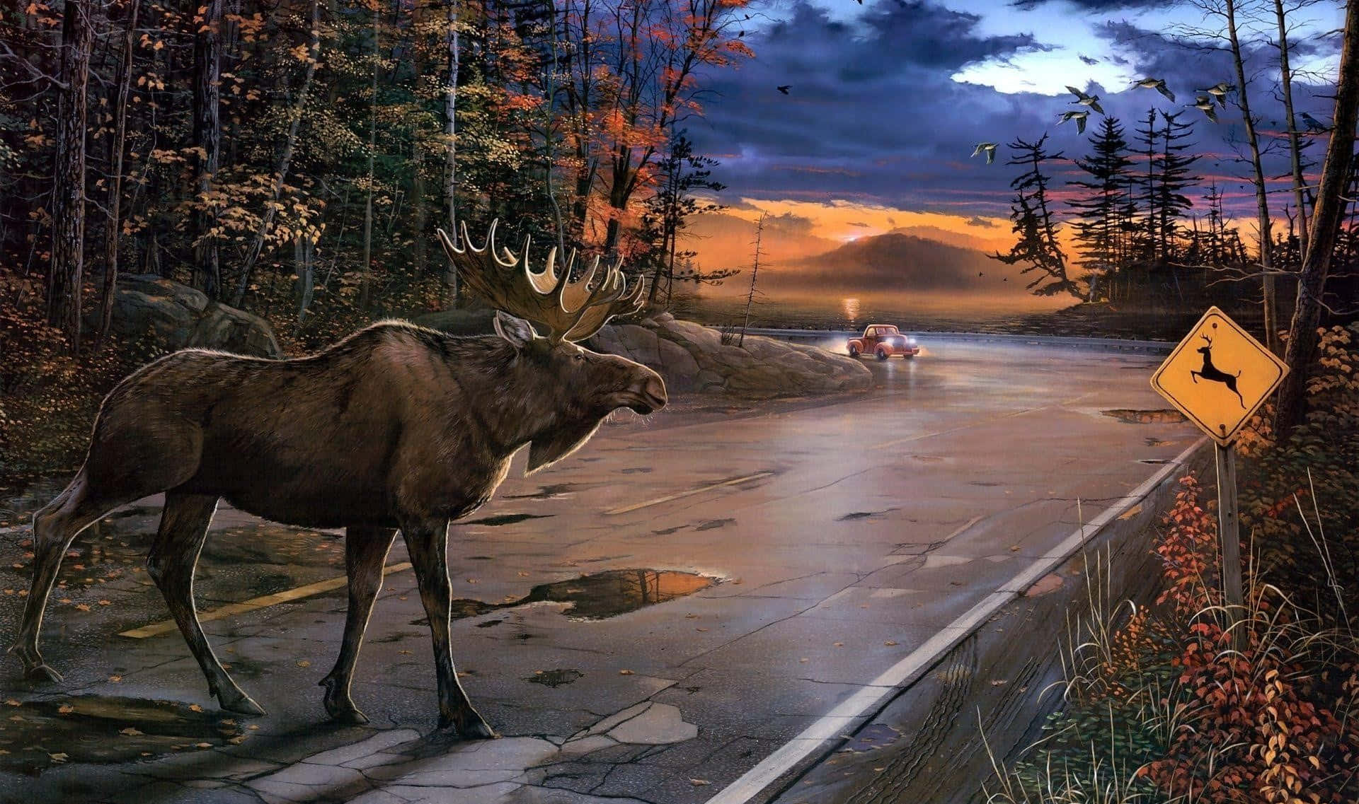 Moose, dusk, twilight, Full HD Desktop Wallpaper