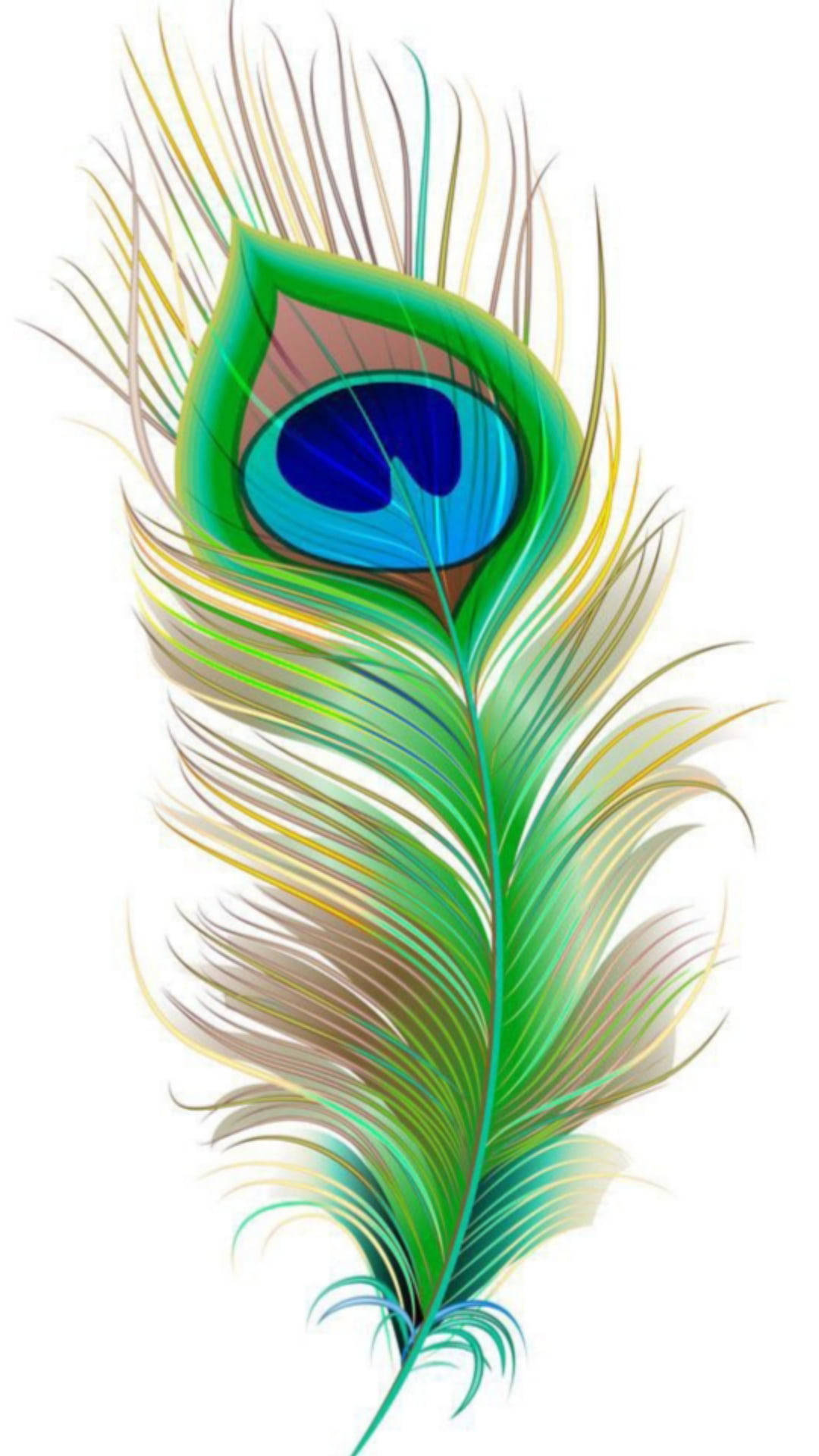 Mor Pankh, vibrant green, iridescent blue green, Full HD Phone Wallpaper