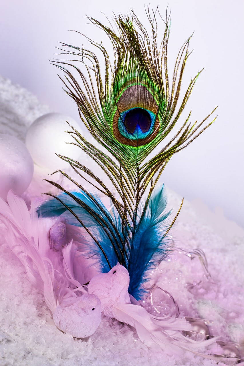Mor Pankh, blue feathers, peacock feather, HD Phone Wallpaper