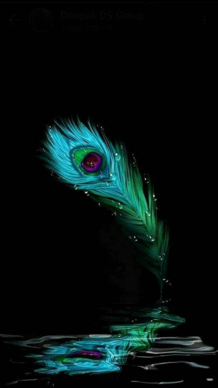 peacock feather, iridescent, blue green hues, HD Phone Wallpaper