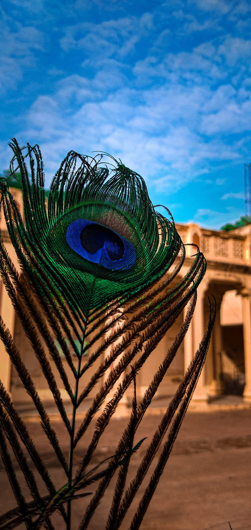 Mor Pankh, blue sky, peacock feather, HD Phone Wallpaper