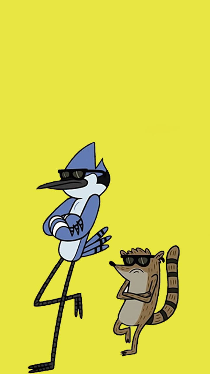 Mordecai, Rigby, sunglasses, HD Phone Wallpaper