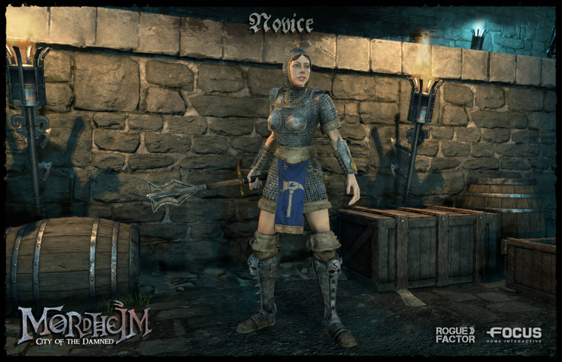 Mordheim City Of The Damned, female warrior, detailed armor, Full HD Desktop Wallpaper