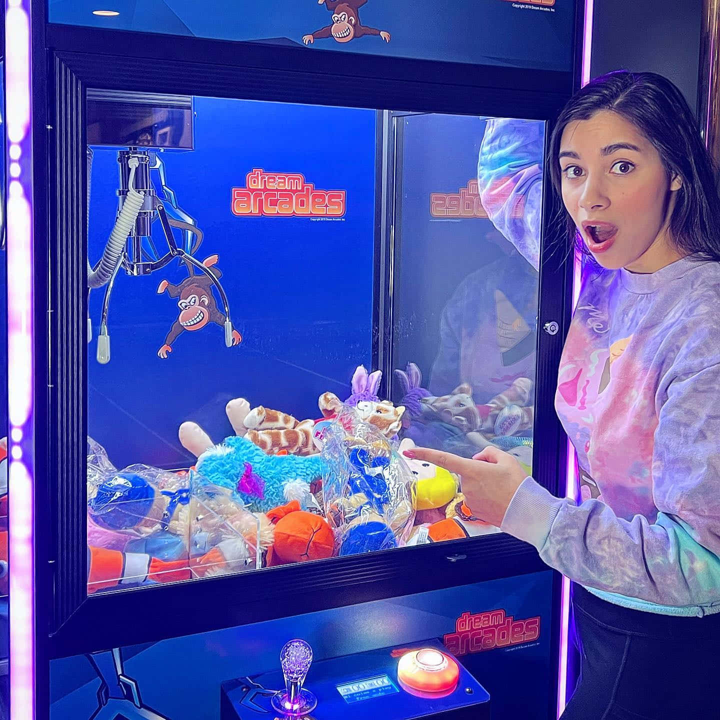 Moriah Elizabeth, claw machine, colorful plush toys, HD Desktop Wallpaper
