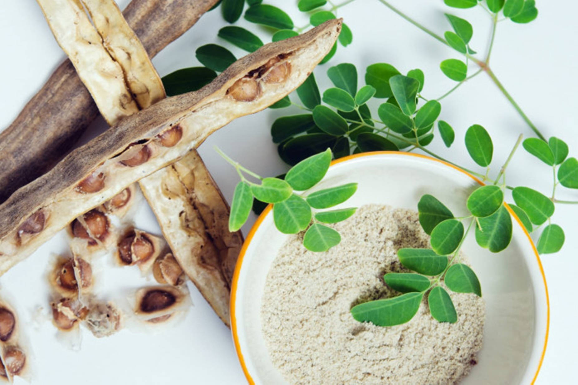 Moringa, moringa powder, fresh green leaves, HD Desktop Wallpaper