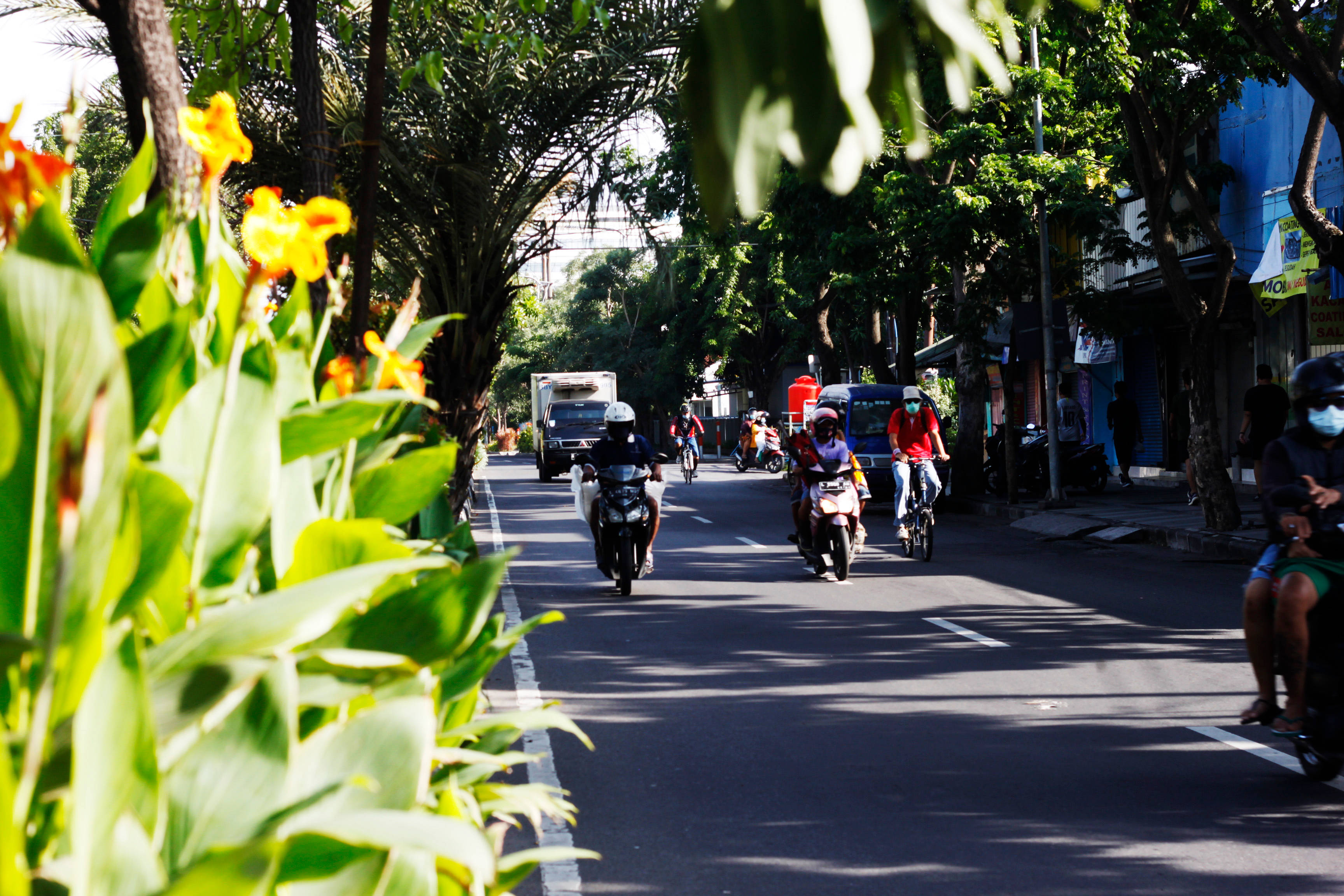 Motorcycle, Morning City, vibrant yellow flowers, 2K Desktop Wallpaper