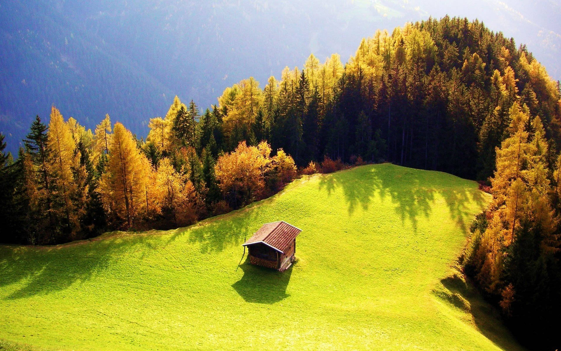 green meadow, wooden cabin, golden trees, Full HD Desktop Wallpaper